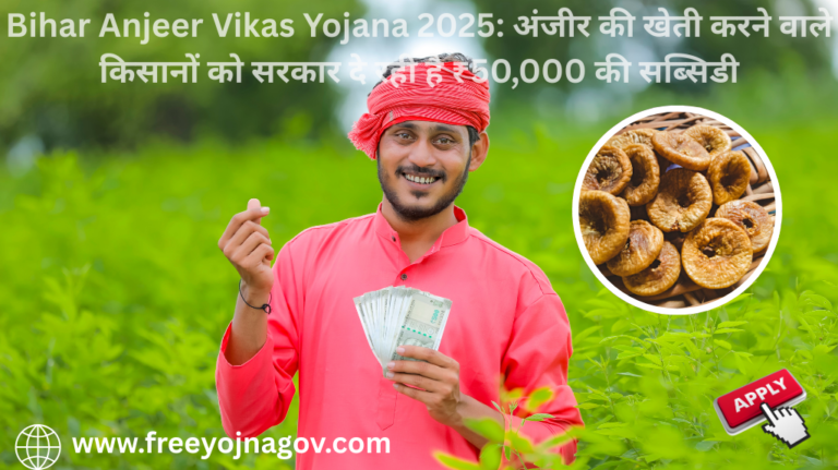Bihar Anjeer Vikas Yojana 2025